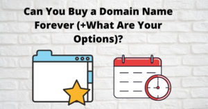 when you buy a domain name is it yours forever